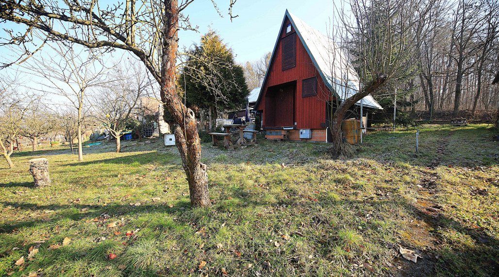 Na predaj útulná chatka v Dubnici nad Váhom – výnimočná ponuka!