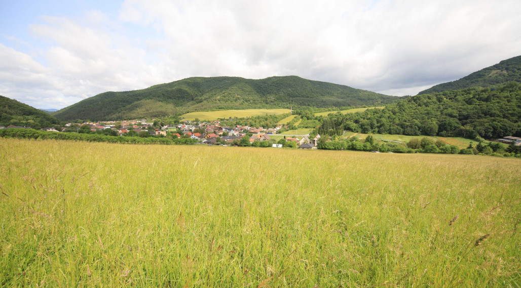 Na predaj veľký slnečný pozemok v tichom prostredí – 5821 m², ideálny na rekreáciu alebo investíciu do budúcnosti