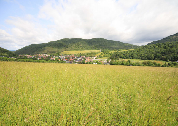 Na predaj veľký slnečný pozemok v tichom prostredí – 5821 m², ideálny na rekreáciu alebo investíciu do budúcnosti